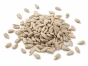 ChatGPT Image 1 lip 2026, 19_16_38.webp