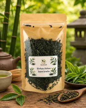 SENCHA-1.webp