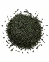 sencha-3.webp