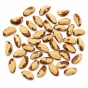 Orzechy Brazylijskie3.webp